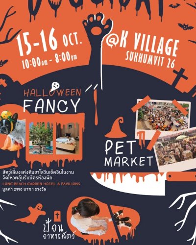 Doggi Day #12 Zipevent