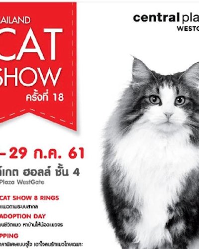 Thailand Cat Show ครั้งที่ 18 Zipevent