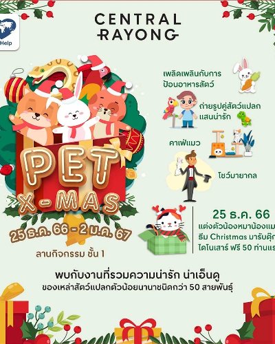 PET X-MAS Zipevent