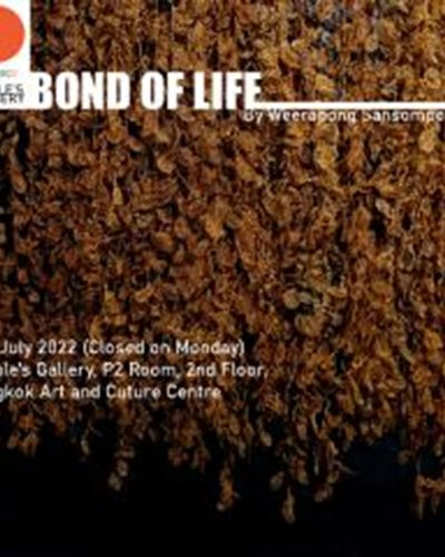 BOND OF LIFE Zipevent
