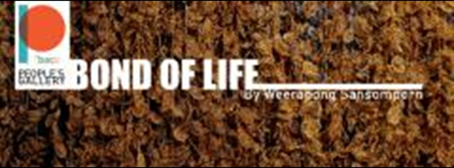 BOND OF LIFE Zipevent