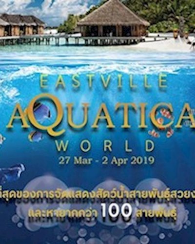 EastVille Aquatica World Zipevent