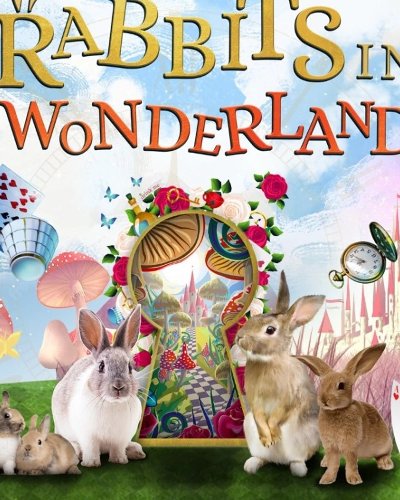 Rabbits in Wonderland Zipevent