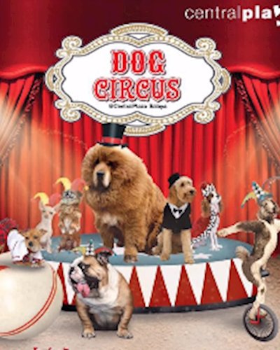Dog Circus Zipevent