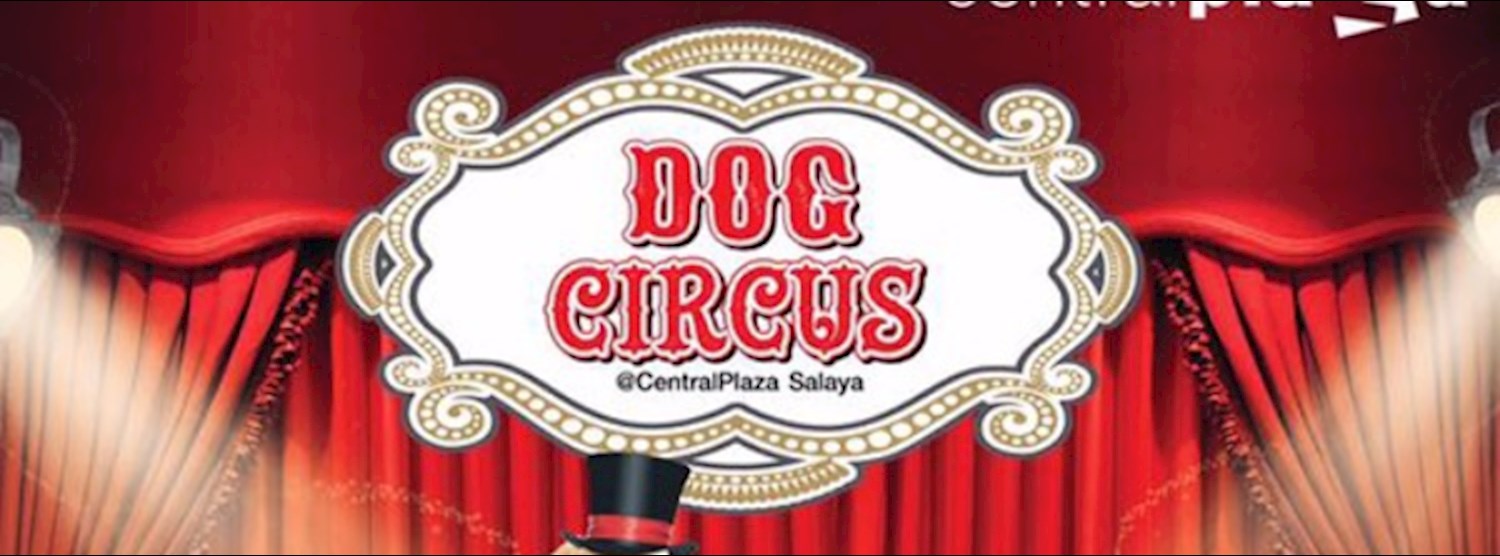 Dog Circus Zipevent