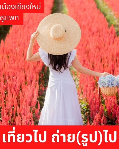 เที่ยวไป ถ่าย(รูป)ไป กับ Pat Chan: แอ่วเมืองเชียงใหม่ 3 วัน 2 คืน Zipevent