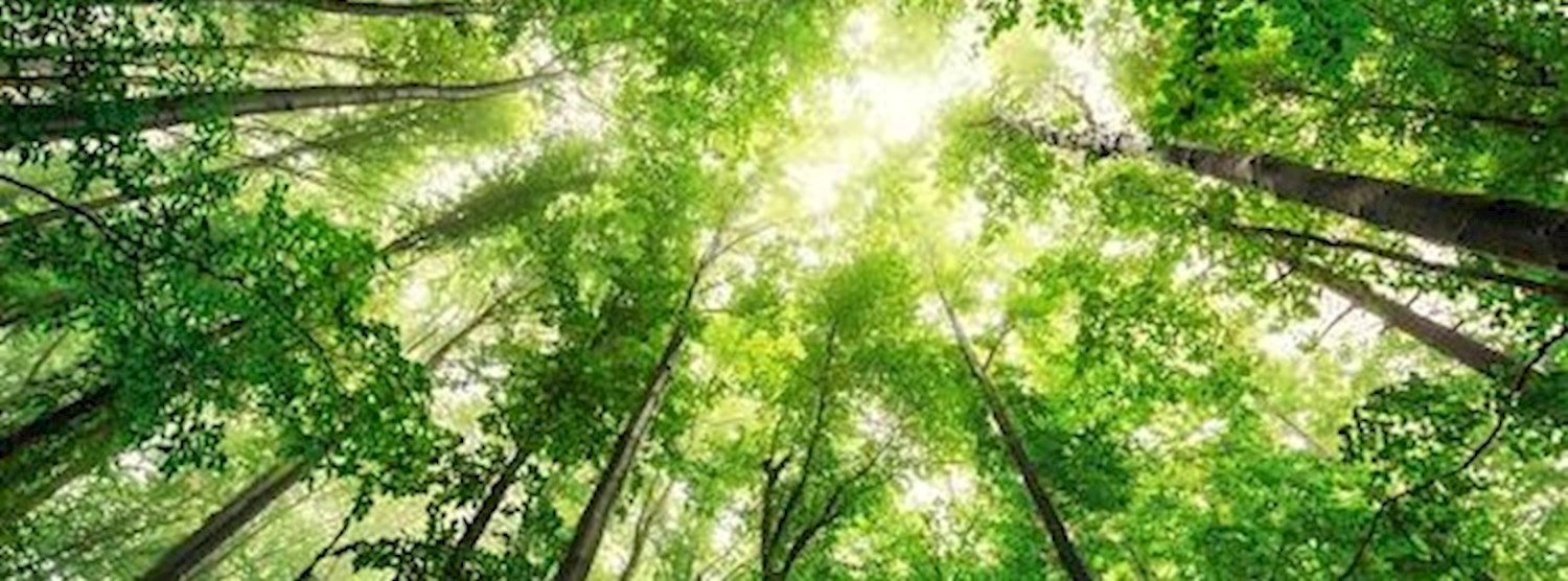 Date change: Book club this month: Nature. Discuss. Zipevent