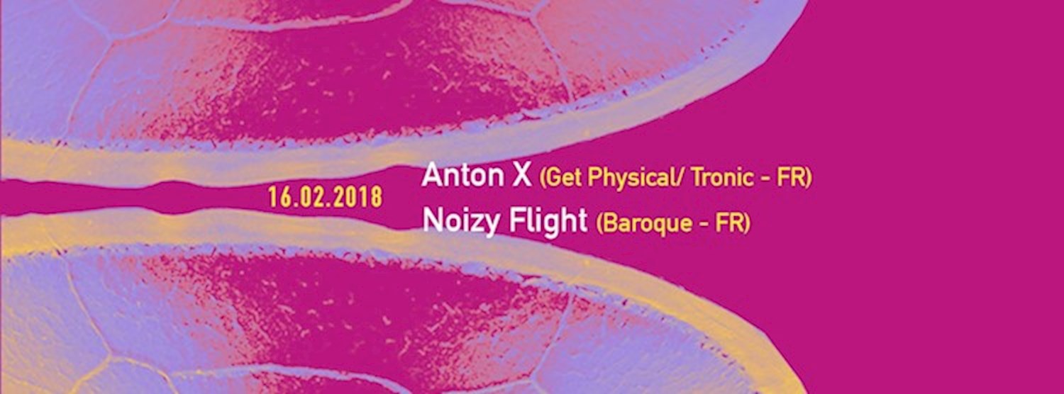 Anton X & Noizy Flight - FR Zipevent
