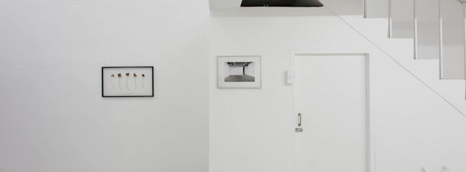 Extended the weekend- (In)territories/rituals Zipevent