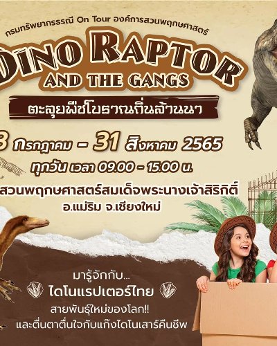 ไดโนแรปเตอร์ แอนด์ เดอะแก๊งค์ Zipevent
