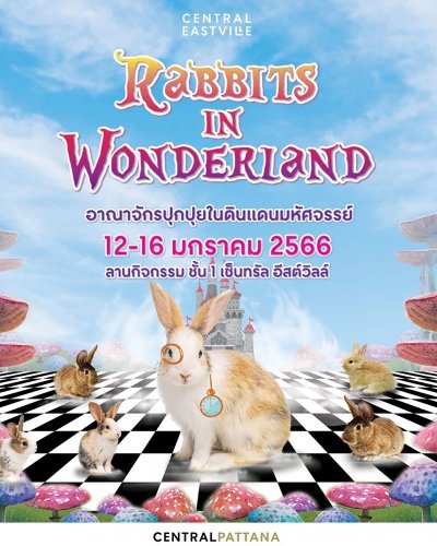 Rabbit in Wonderland Zipevent