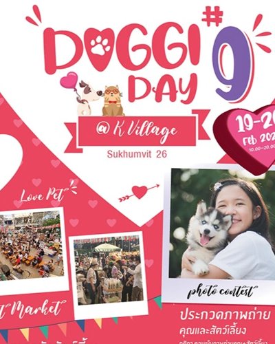 Doggi Day #9 Zipevent