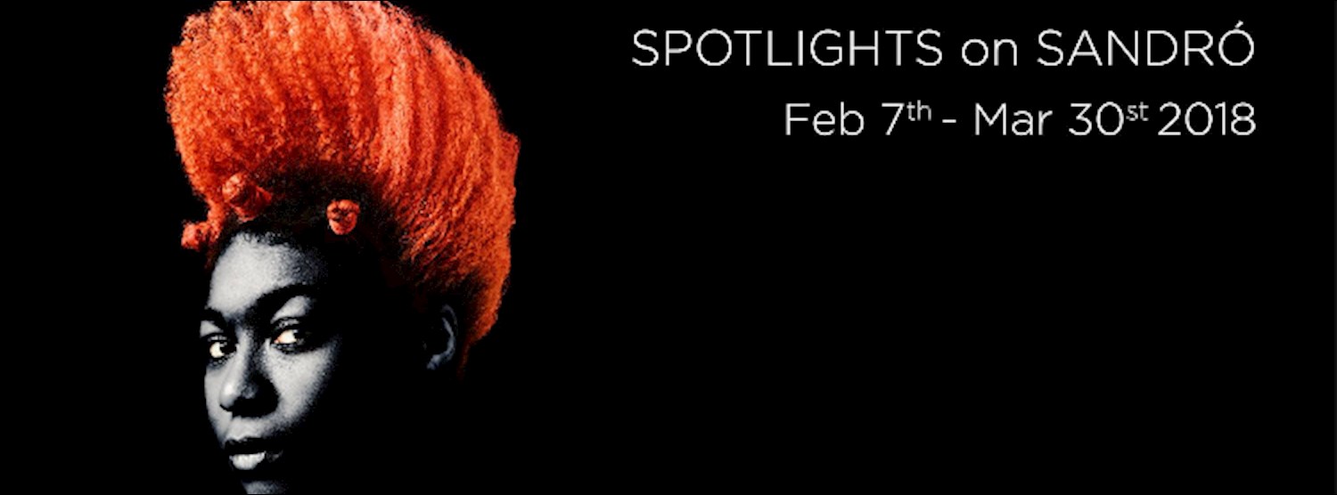 Spotlights on Sandro Zipevent