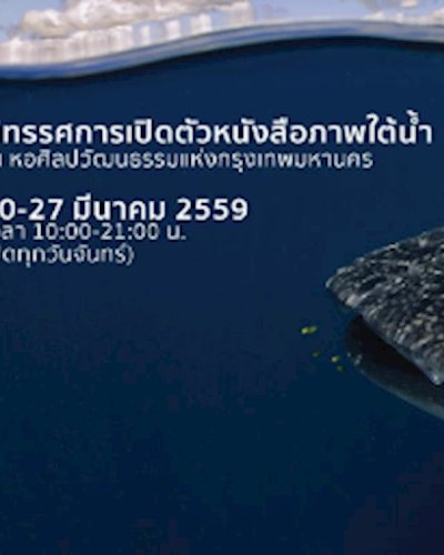  “โอเคียนอส” นิทรรศการเปิดตัวหนังสือภาพใต้น้ำ Zipevent