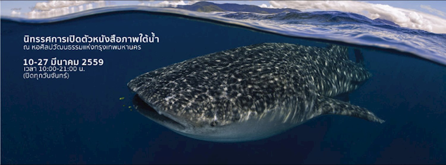  “โอเคียนอส” นิทรรศการเปิดตัวหนังสือภาพใต้น้ำ Zipevent