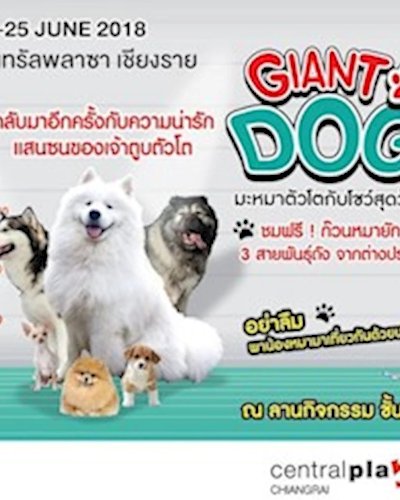 Giant Dog Show 2018 Zipevent