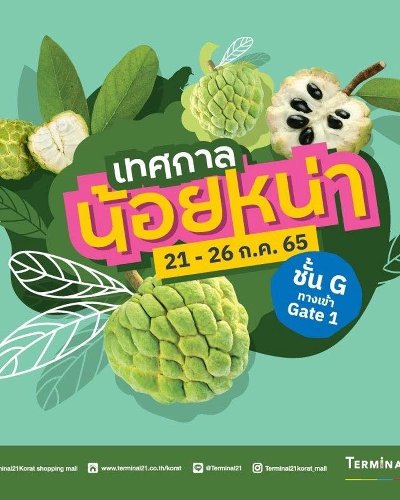 เทศกาลน้อยหน่า Zipevent