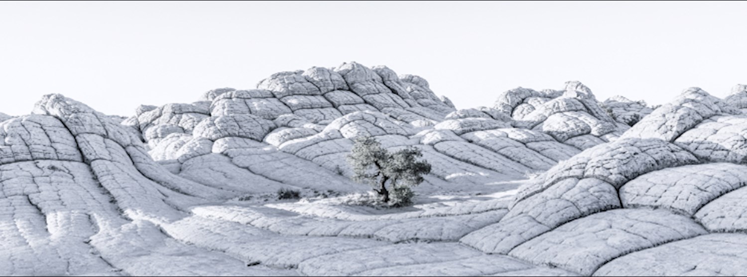 สมาคมถ่ายภาพแห่งประเทศไทยฯ ได้นำ Tom Jacobi ช่างภาพมือรางวัลระดับโลกจากเยอรมนี มาพูดสร้างแรงบันดาลใจและปลุกจิตสำนึกในการดูแลโลก Zipevent