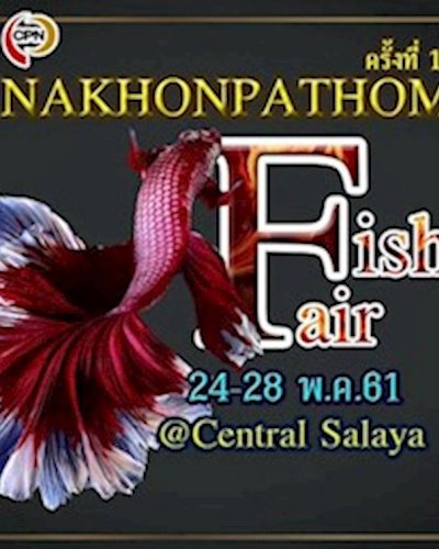 Fish Fair Zipevent