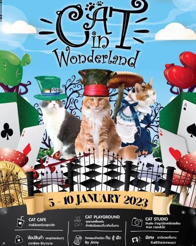 Cat Wonderland Cafe Zipevent
