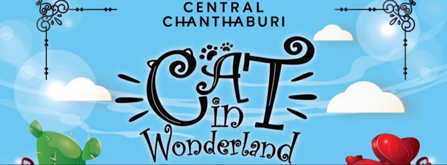 Cat Wonderland Cafe Zipevent
