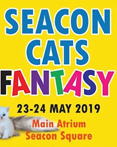 SEACON CATS FANTASY Zipevent