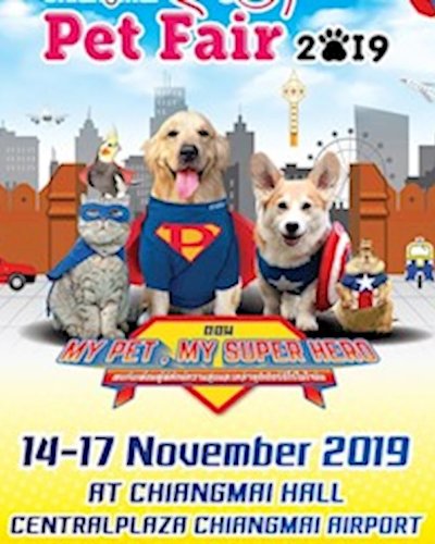 Chiangmai Pet Fair 2019 ตอน MY PET , MY SUPER HERO Zipevent