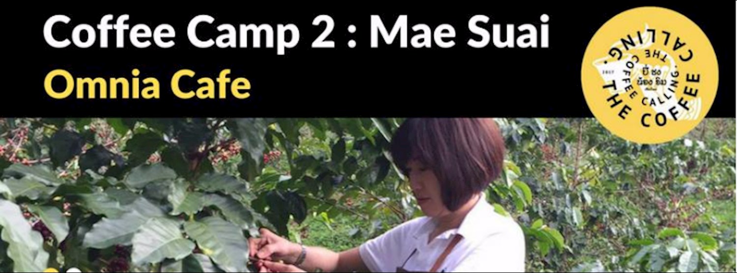Calling Coffe Camp 2 : Mae Suai Zipevent