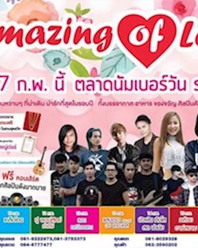 Amazing of Love Zipevent