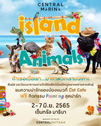 Island Animals Zipevent