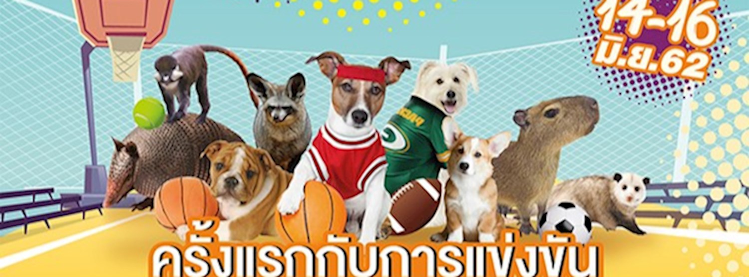 Supreme Complex Pet Sport Day 2019 Zipevent