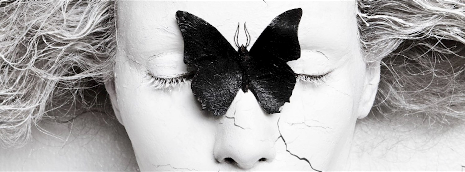 METAMORPHOSIS by Olga Volodina Zipevent