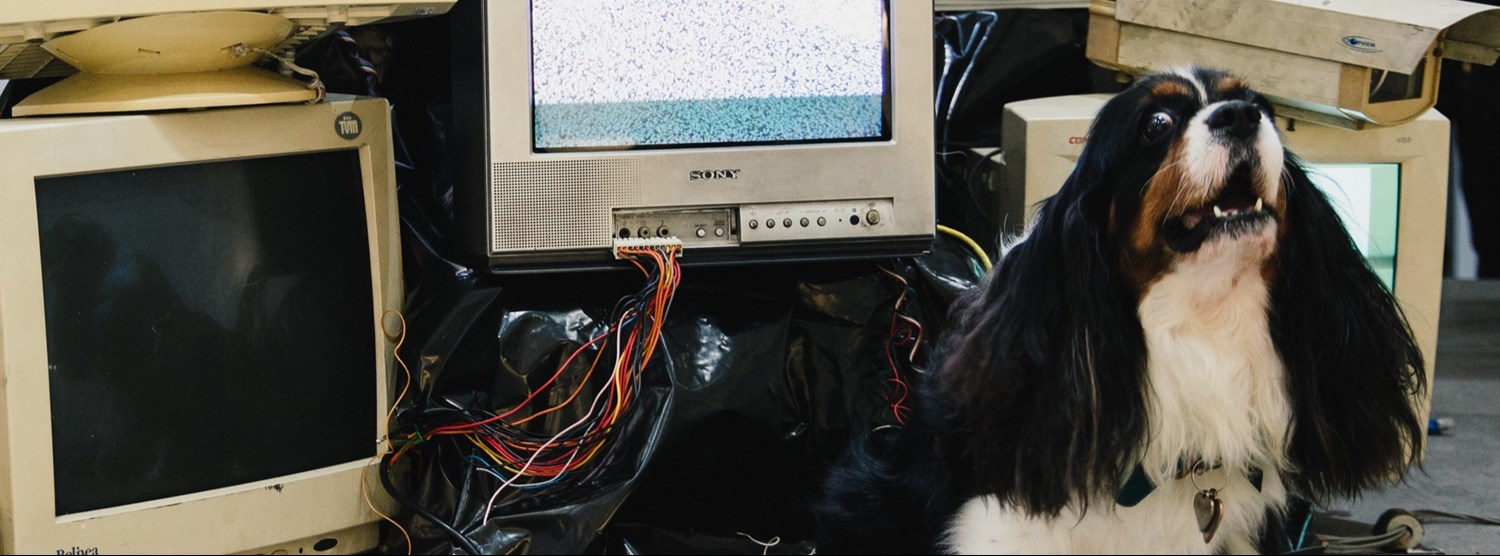 SPOTLIGHT’ Exhibition Episode 2 Zipevent