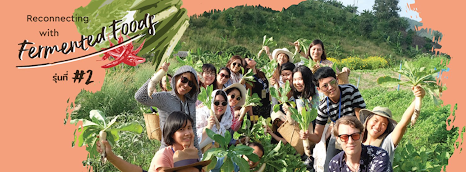 Workshop “Reconnecting with Fermented Foods” รุ่น 2 Zipevent