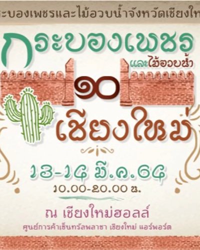 กระบองเพชร และไม้อวบน้ำ เชียงใหม่ ครั้งที่ 10 Zipevent