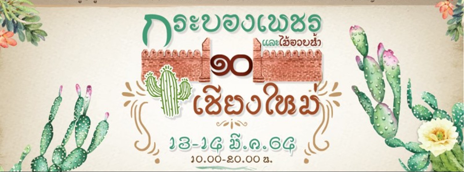 กระบองเพชร และไม้อวบน้ำ เชียงใหม่ ครั้งที่ 10 Zipevent