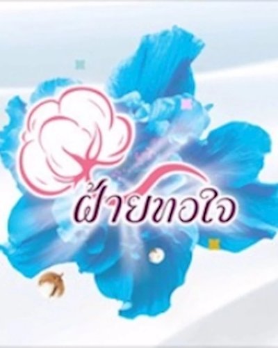 ฝ้ายทอใจ ครั้งที่ 9 Zipevent