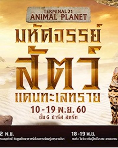 TERMINAL 21 ANIMAL PLANET มหัศจรรย์สัตว์แดนทะเลทราย Zipevent