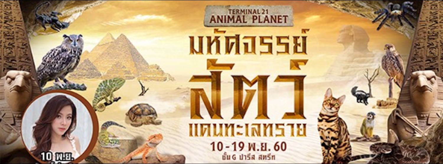 TERMINAL 21 ANIMAL PLANET มหัศจรรย์สัตว์แดนทะเลทราย Zipevent