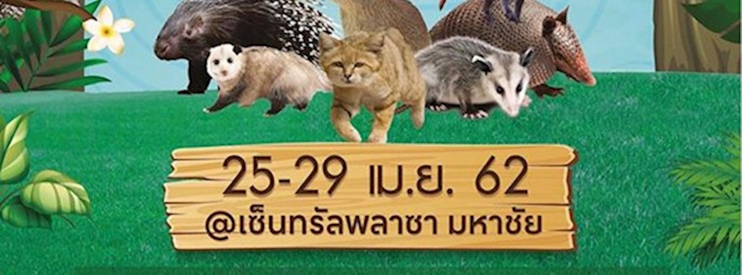 Pet Planet 2019 Zipevent