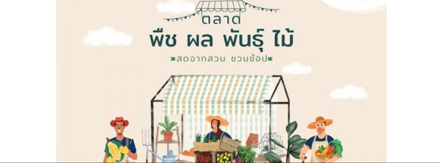 ตลาด พืช ผล พันธุ์ ไม้ Zipevent