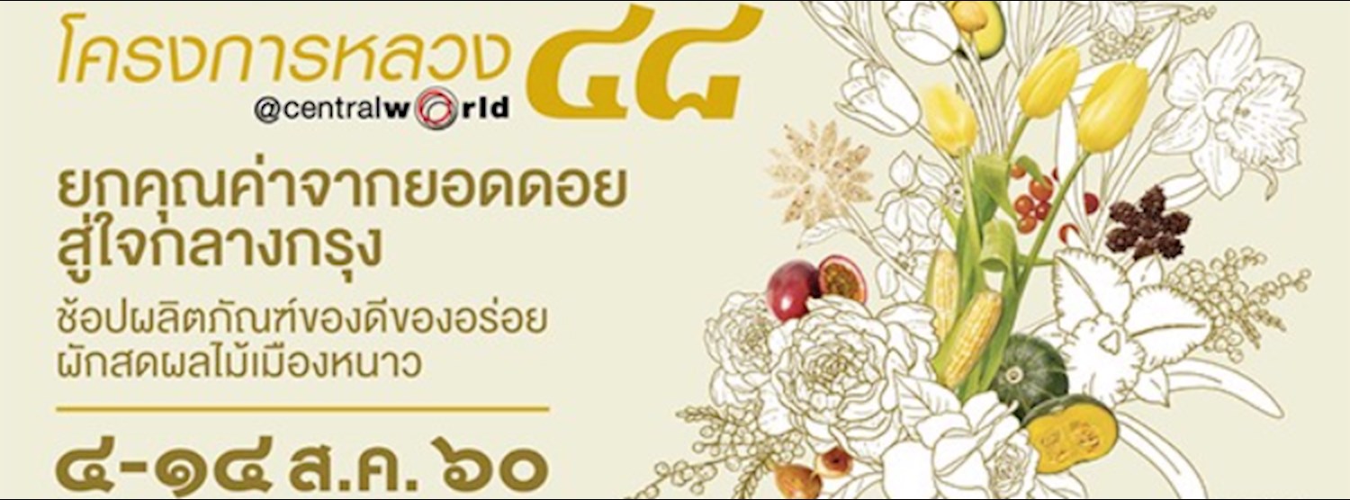 โครงการหลวง 48 Zipevent