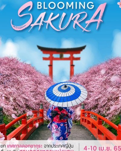 Blooming SAKURA Zipevent