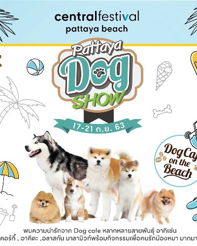 PATTAYA DOG SHOW: Dog Café on the Beach Zipevent