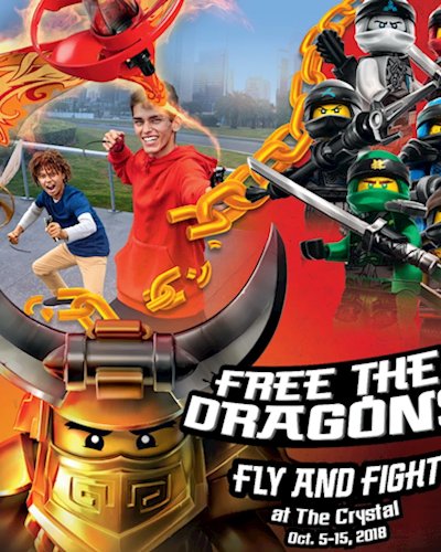 LEGO SCHOOL BREAK II : NINJAGO Zipevent