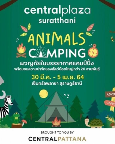 Animal Camping Zipevent