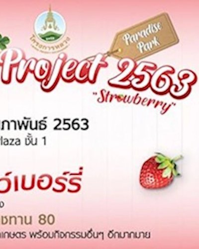 Royal Project 2563 "Strawberry" Zipevent