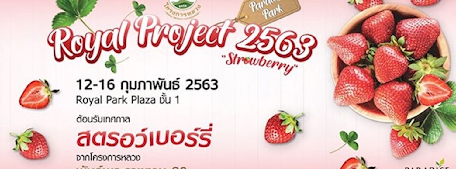 Royal Project 2563 "Strawberry" Zipevent