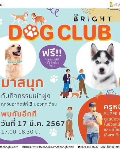 THE BRIGHT DOG CLUB Zipevent