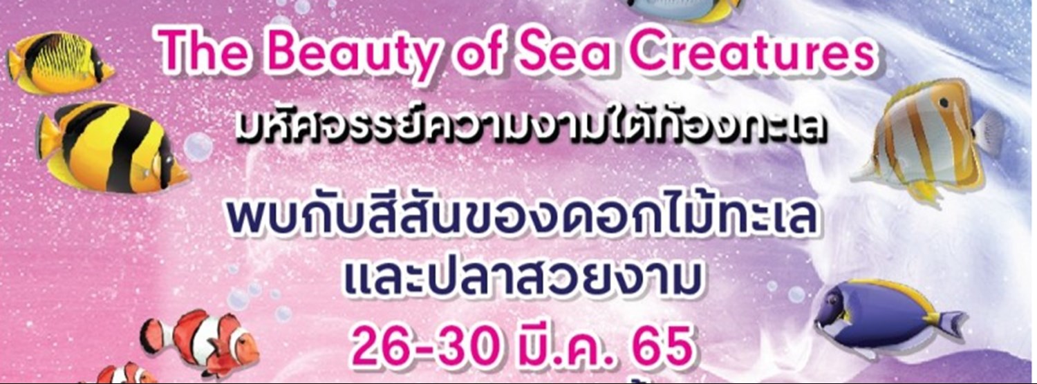 The Beauty of Sea Creatures Zipevent